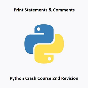 python Rev2 Print Statements