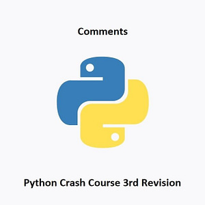 python Rev3 Comments