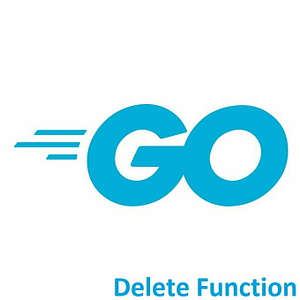 Go Delete function