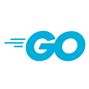 Go Logo Blue square