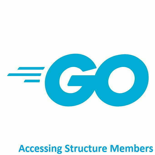 Go Accessing structure members