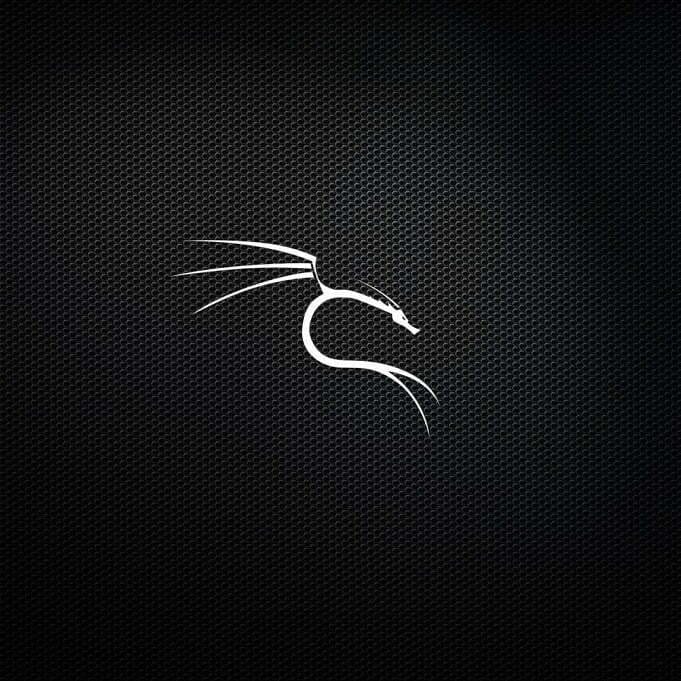 Ethical Hacking Operating System Kali Linux Logo